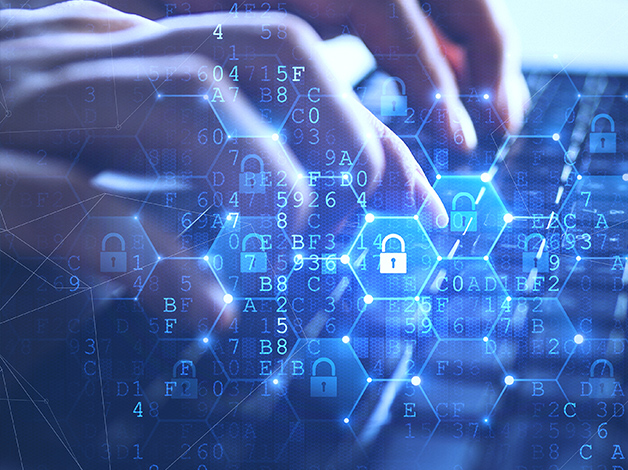 数据分类分级与风险评估系统